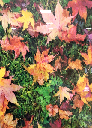 大阪刀根山医療センター「落ち葉」